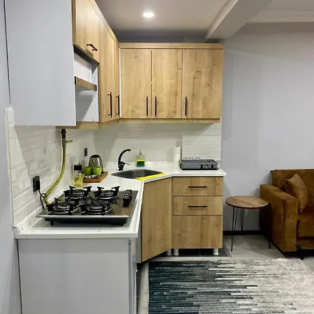 Ozn Airport Apartment
